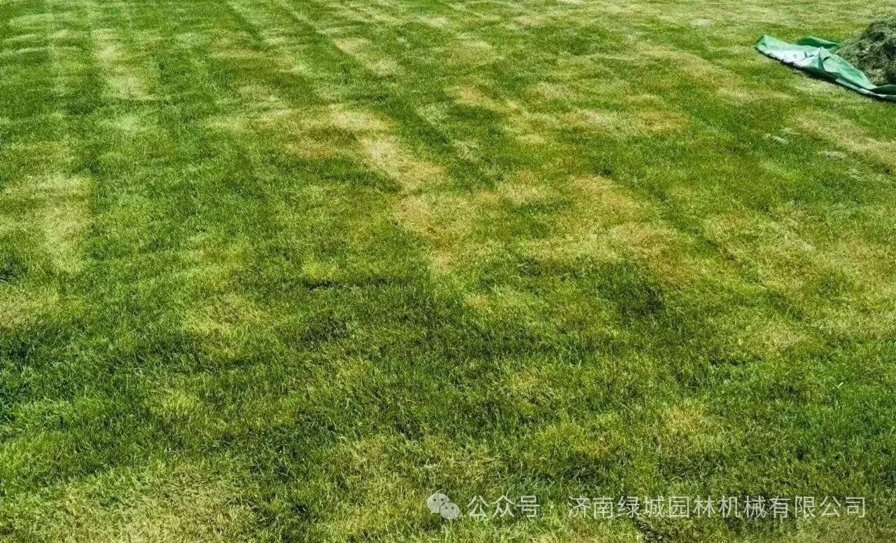 DƬ