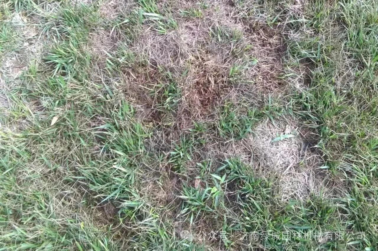 DƬ