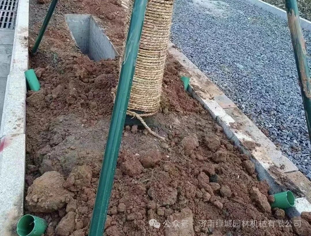 DƬ